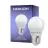 Noxion Lucent Lustre LED E27 Kogel Mat 2.5W 250lm - 827 Zeer Warm Wit | Vervangt 25W